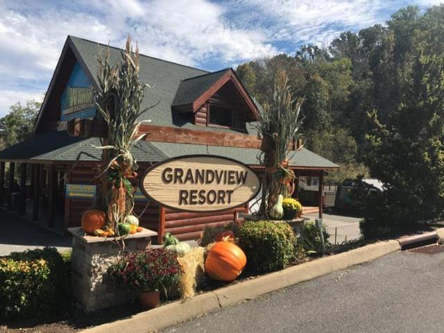 Mountain View Family Cabin W Game Room & Pool سيفيرفيل المظهر الخارجي الصورة